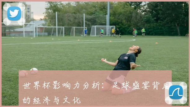 世界杯影响力分析：足球盛宴背后的经济与文化