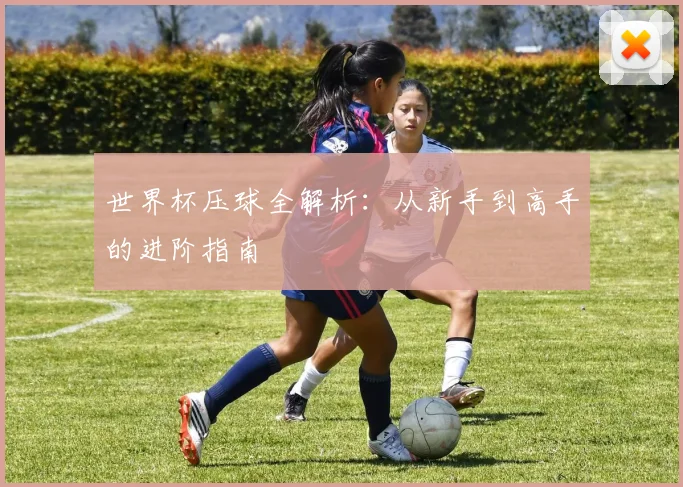 世界杯压球全解析：从新手到高手的进阶指南